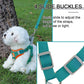 Step-In Dog Harness & Leash Set - Reflective Soft Vest for Small & Medium Dogs