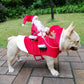 Christmas Santa Claus Pet Costume - Warm Fleece Holiday Outfit