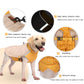 Waterproof Dog Vest - Padded Winter Jacket for Small & Large Dogs