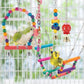 Colorful Wooden Parrot Swing with Bell - Cockatiel Training & Play Toy