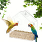 Clear Acrylic Window Bird Feeder - Outdoor Hanging Feeder with Suction Cups