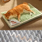 Orthopedic Dog Bed Mat - Cervical Spine Support for Small to Large Dogs